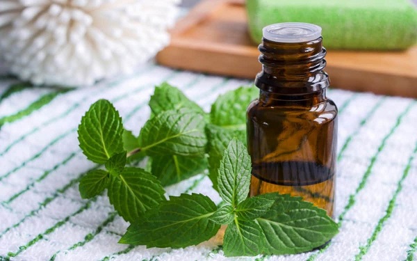 Cosmetici funzionali: una nuova tendenza all'integrazione della cura della pelle e della tecnologia